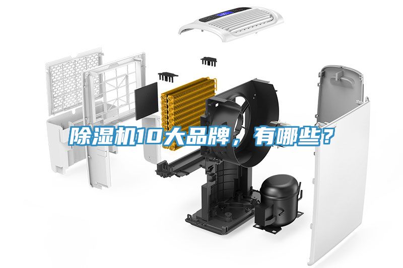 91免费网站在线观看10大品牌，有哪些？