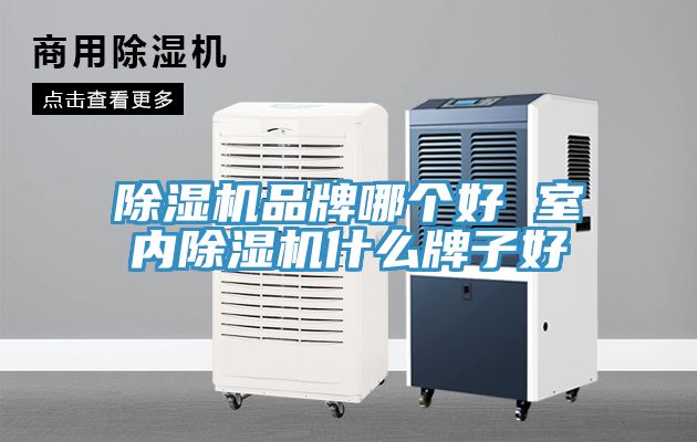 91免费网站在线观看品牌哪个好 室内91免费网站在线观看什么牌子好