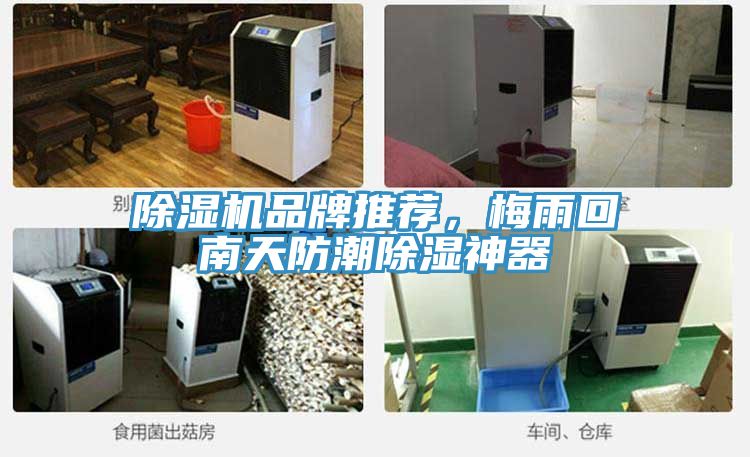 91免费网站在线观看品牌推荐，梅雨回南天防潮除湿神器