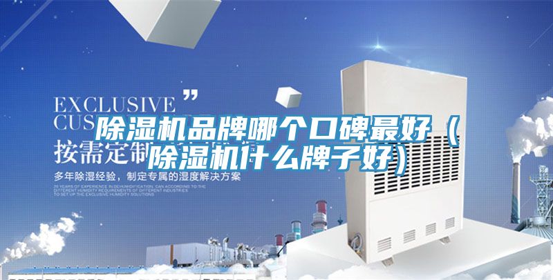 91免费网站在线观看品牌哪个口碑最好（91免费网站在线观看什么牌子好）