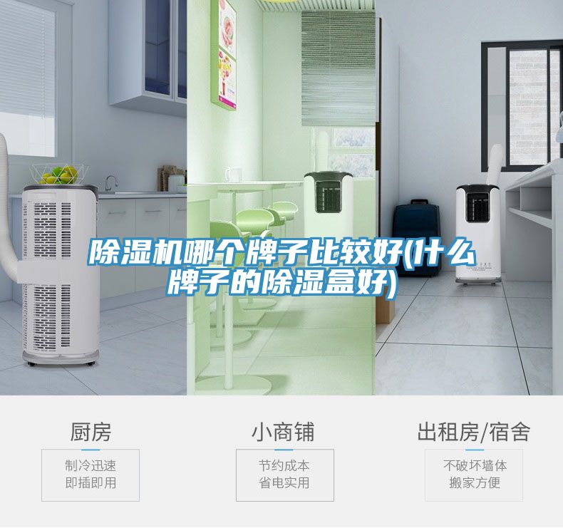 91免费网站在线观看哪个牌子比较好(什么牌子的除湿盒好)