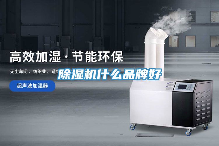 91免费网站在线观看什么品牌好