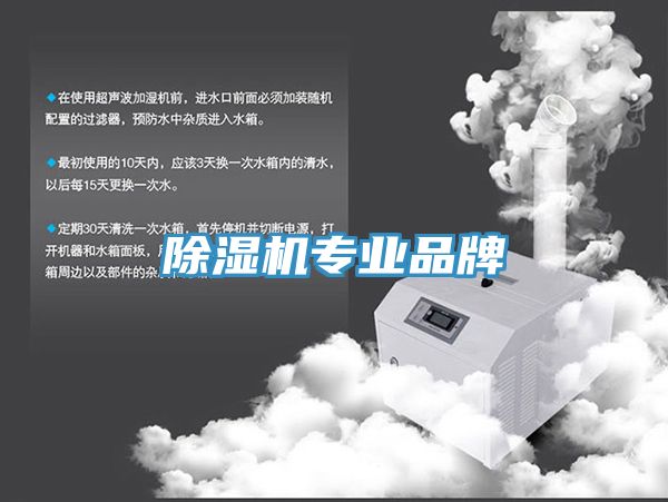 91免费网站在线观看专业品牌