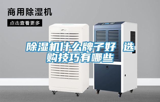 91免费网站在线观看什么牌子好 选购技巧有哪些