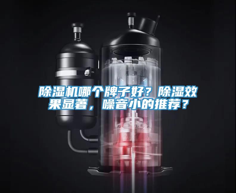 91免费网站在线观看哪个牌子好？除湿效果显著，噪音小的推荐？