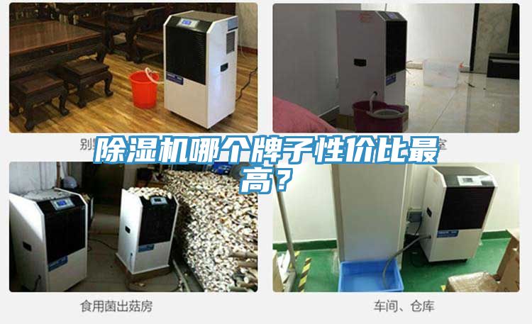 91免费网站在线观看哪个牌子性价比最高？
