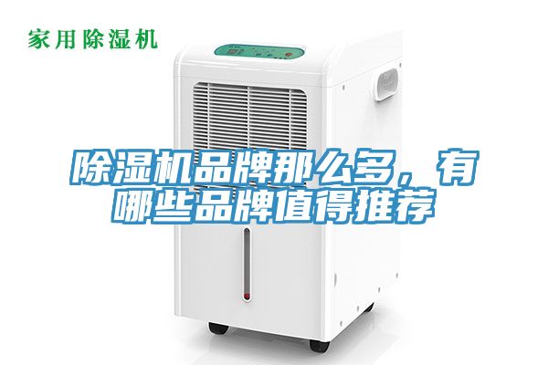 91免费网站在线观看品牌那么多，有哪些品牌值得推荐