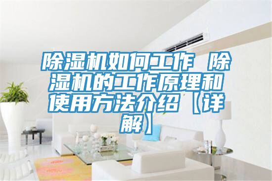 91免费网站在线观看如何工作 91免费网站在线观看的工作原理和使用方法介绍【详解】