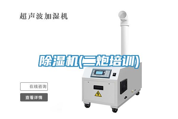 91免费网站在线观看(二炮培训)