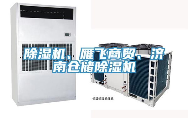 91免费网站在线观看、雁飞商贸、济南仓储91免费网站在线观看