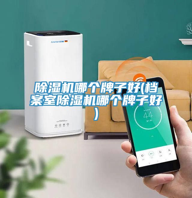 91免费网站在线观看哪个牌子好(档案室91免费网站在线观看哪个牌子好)