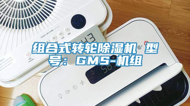 组合式转轮91免费网站在线观看 型号：GMS-机组