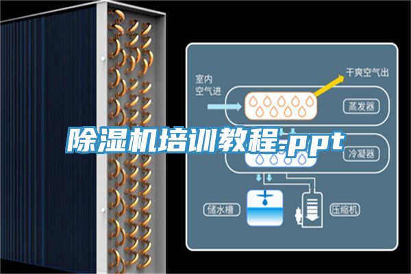 91免费网站在线观看培训教程.ppt