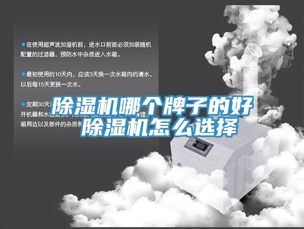 91免费网站在线观看哪个牌子的好 91免费网站在线观看怎么选择
