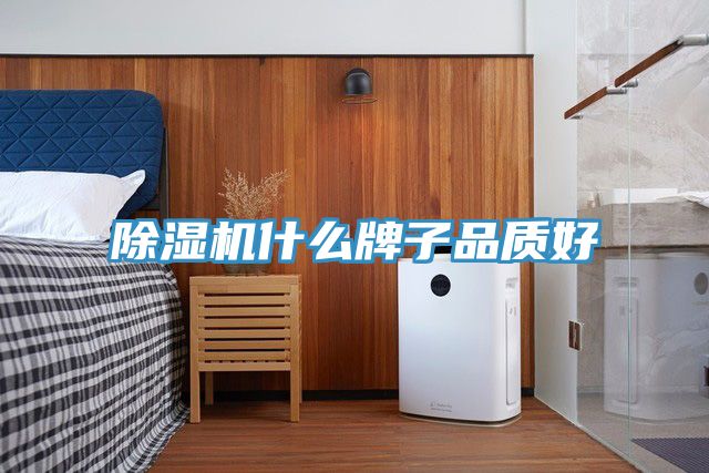 91免费网站在线观看什么牌子品质好