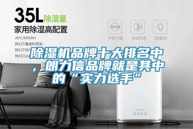 91免费网站在线观看品牌十大排名中，朗力信品牌就是其中的“实力选手”