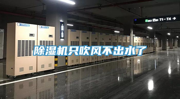 91免费网站在线观看只吹风不出水了