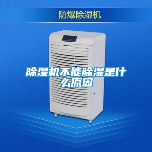 91免费网站在线观看不能除湿是什么原因