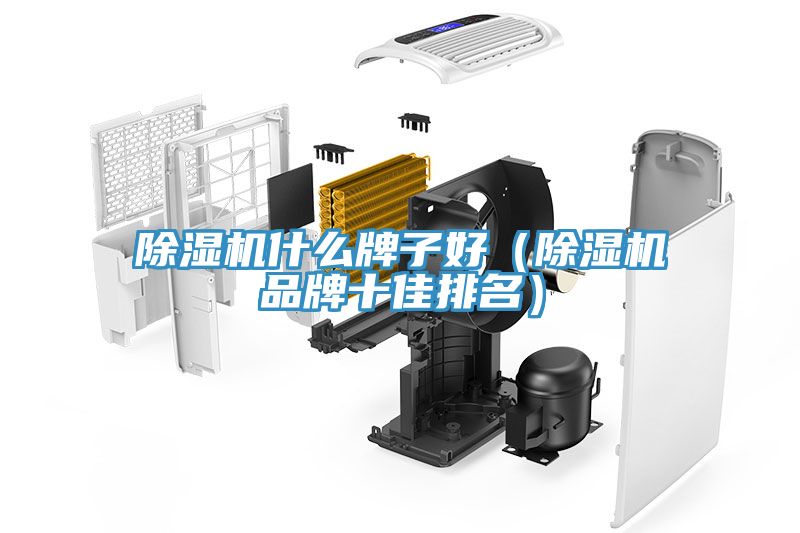 91免费网站在线观看什么牌子好（91免费网站在线观看品牌十佳排名）