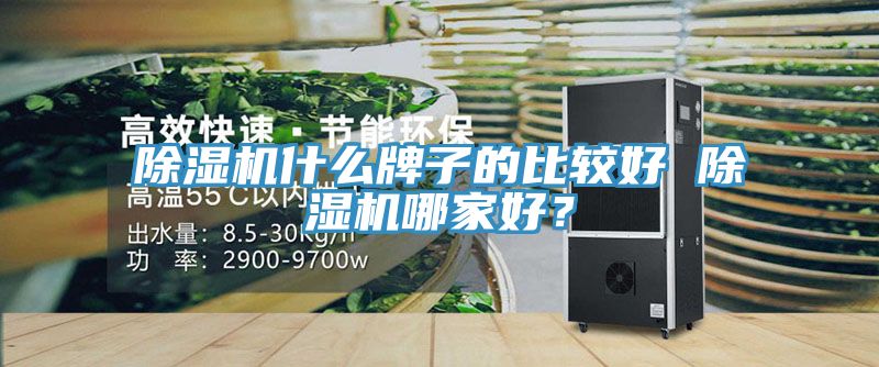 91免费网站在线观看什么牌子的比较好 91免费网站在线观看哪家好？