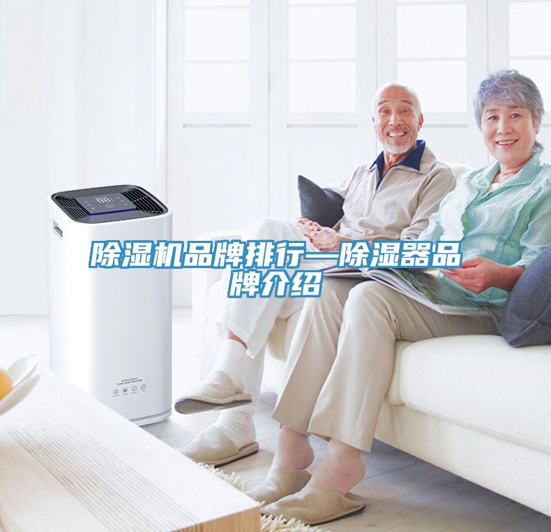 91免费网站在线观看品牌排行—除湿器品牌介绍