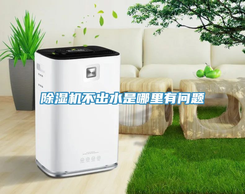 91免费网站在线观看不出水是哪里有问题