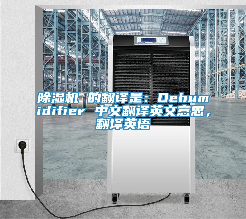 91免费网站在线观看 的翻译是：Dehumidifier 中文翻译英文意思，翻译英语