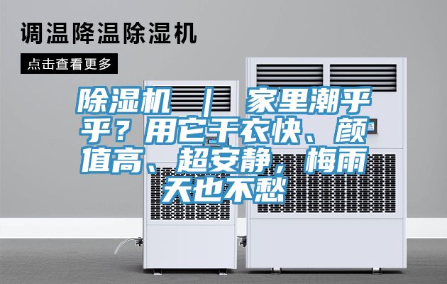 91免费网站在线观看 ｜ 家里潮乎乎？用它干衣快、颜值高、超安静，梅雨天也不愁