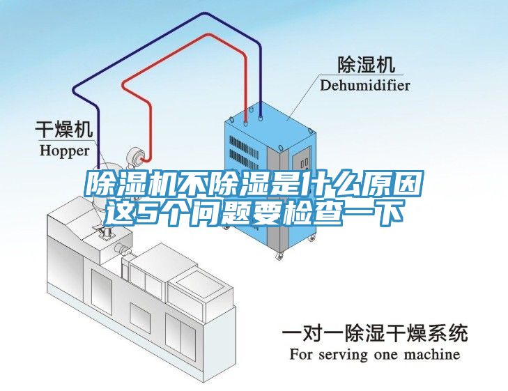 91免费网站在线观看不除湿是什么原因这5个问题要检查一下