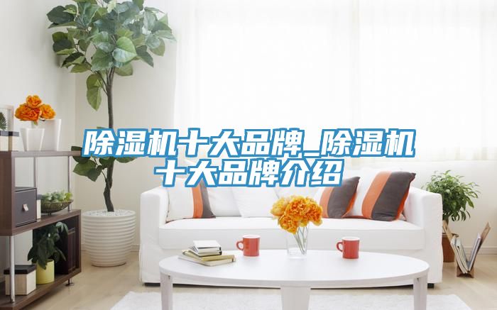 91免费网站在线观看十大品牌_91免费网站在线观看十大品牌介绍