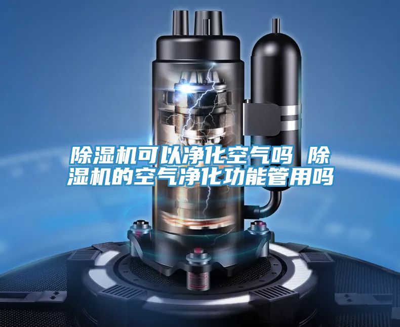 91免费网站在线观看可以净化空气吗 91免费网站在线观看的空气净化功能管用吗