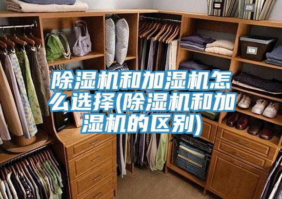 91免费网站在线观看和加湿机怎么选择(91免费网站在线观看和加湿机的区别)