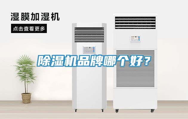 91免费网站在线观看品牌哪个好？