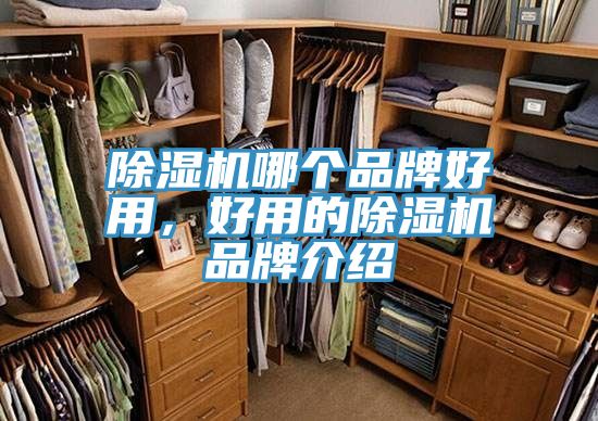 91免费网站在线观看哪个品牌好用，好用的91免费网站在线观看品牌介绍