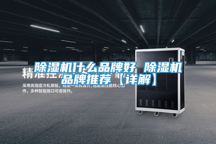 91免费网站在线观看什么品牌好 91免费网站在线观看品牌推荐【详解】