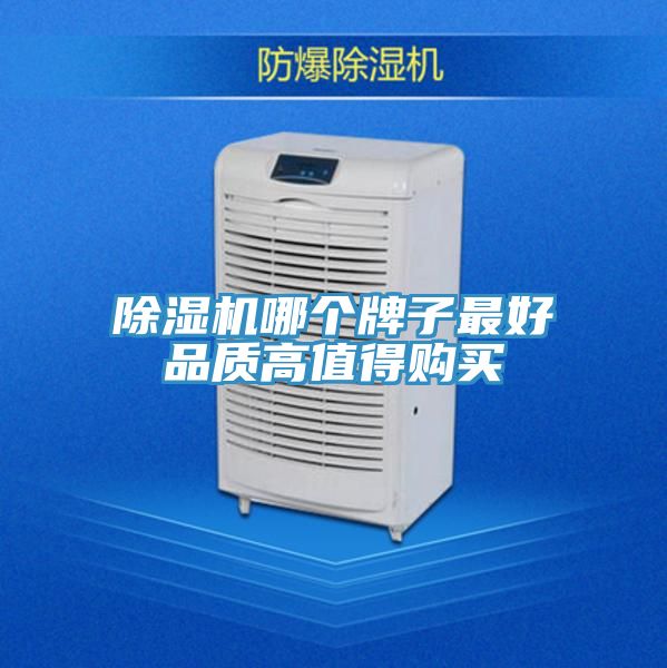 91免费网站在线观看哪个牌子最好品质高值得购买