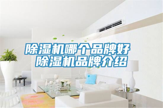 91免费网站在线观看哪个品牌好 91免费网站在线观看品牌介绍