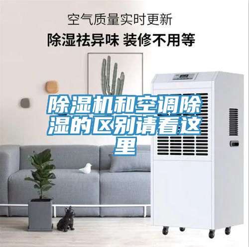 91免费网站在线观看和空调除湿的区别请看这里
