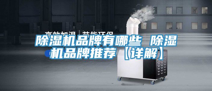 91免费网站在线观看品牌有哪些 91免费网站在线观看品牌推荐【详解】