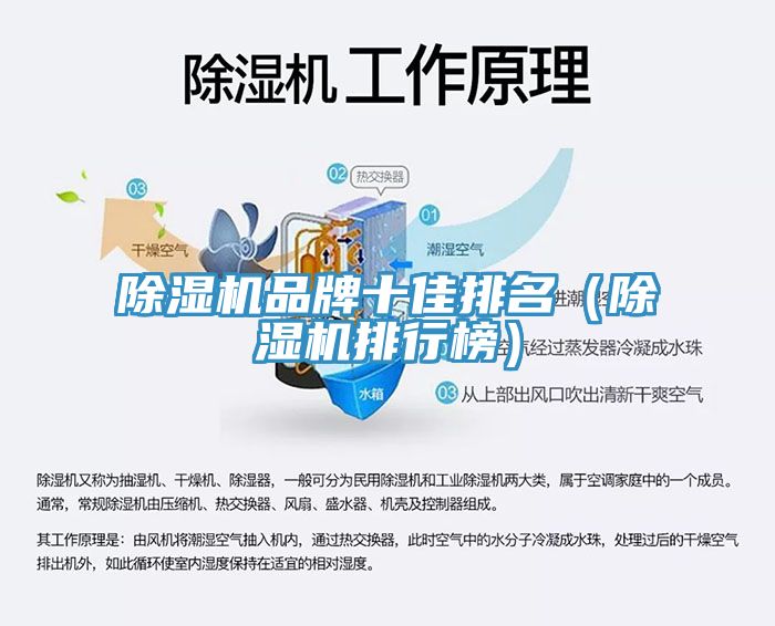 91免费网站在线观看品牌十佳排名（91免费网站在线观看排行榜）