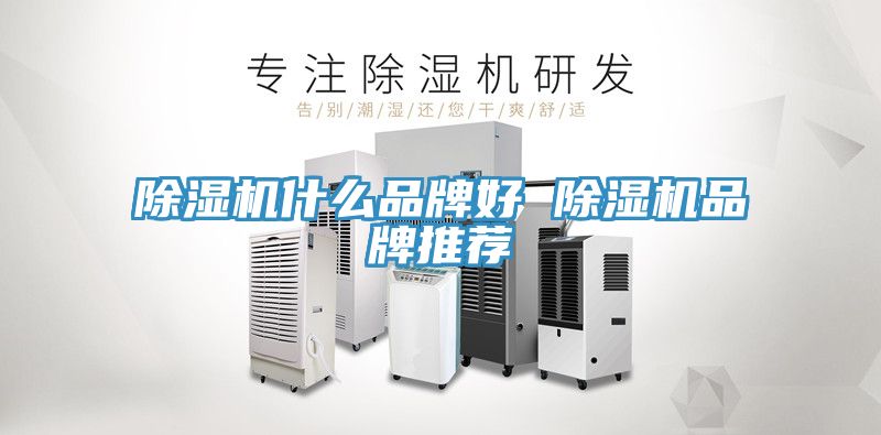 91免费网站在线观看什么品牌好 91免费网站在线观看品牌推荐