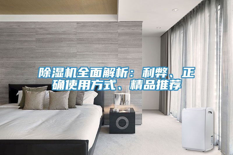91免费网站在线观看全面解析：利弊、正确使用方式、精品推荐