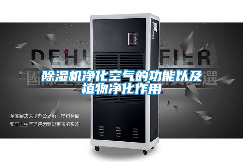 91免费网站在线观看净化空气的功能以及植物净化作用