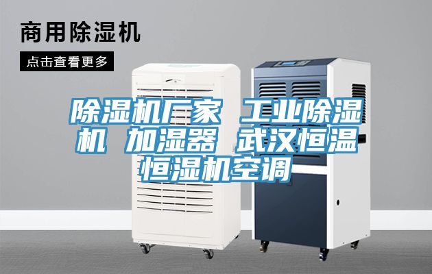 91免费网站在线观看厂家 工业91免费网站在线观看 加湿器 武汉恒温恒湿机空调