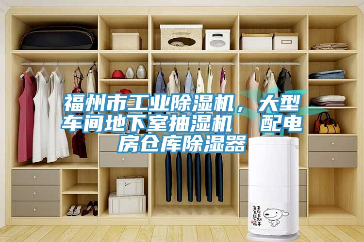 福州市工业91免费网站在线观看，大型车间地下室抽湿机  配电房仓库除湿器