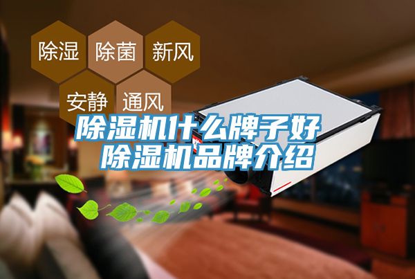 91免费网站在线观看什么牌子好 91免费网站在线观看品牌介绍