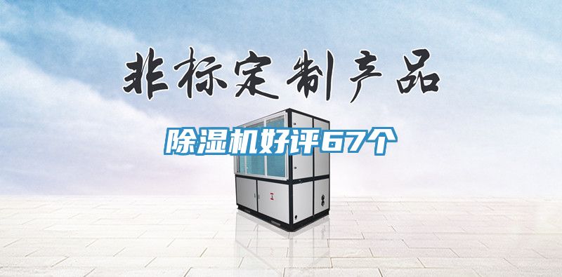 91免费网站在线观看好评67个