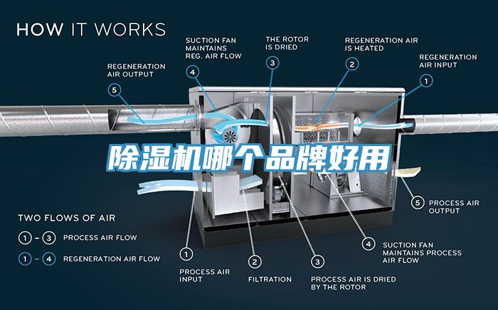 91免费网站在线观看哪个品牌好用