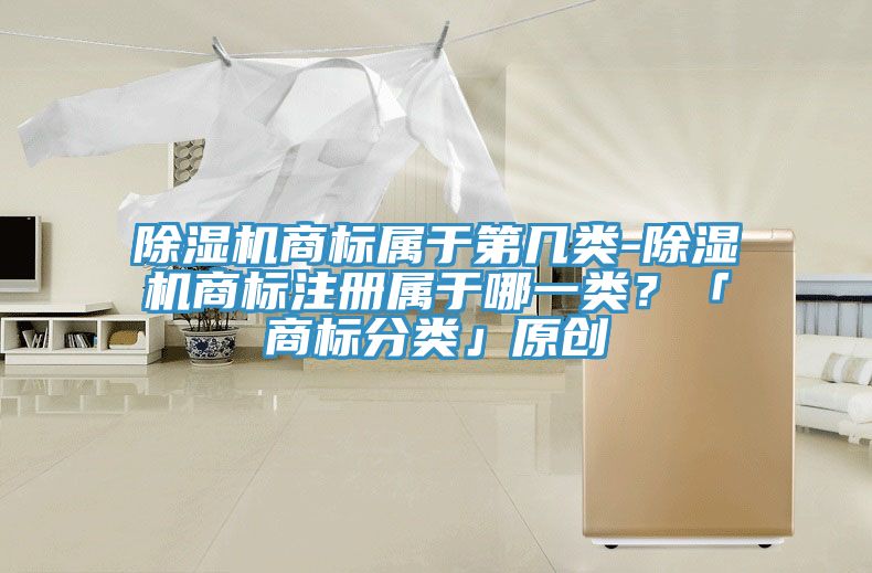 91免费网站在线观看商标属于第几类-91免费网站在线观看商标注册属于哪一类？「商标分类」原创