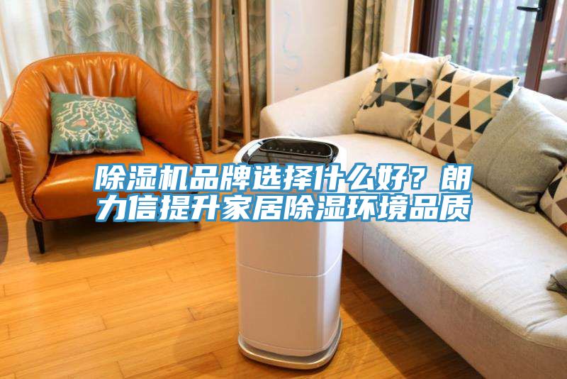 91免费网站在线观看品牌选择什么好？朗力信提升家居除湿环境品质